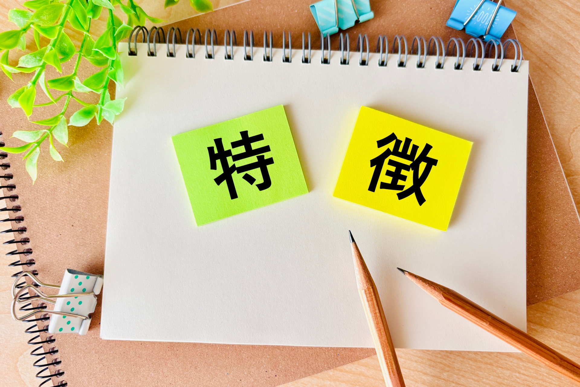 特徴を記載する