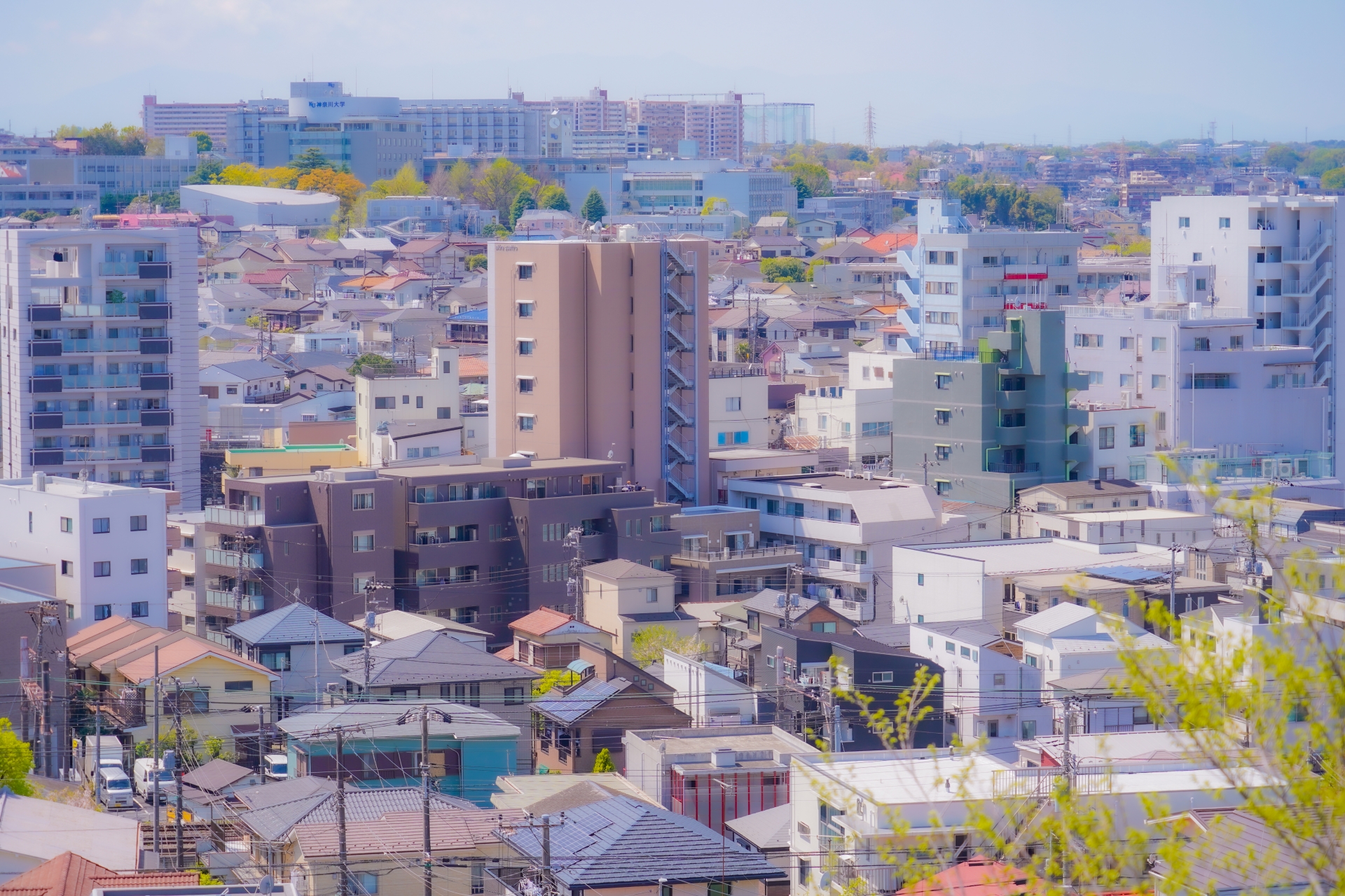 住宅街と春の街並み