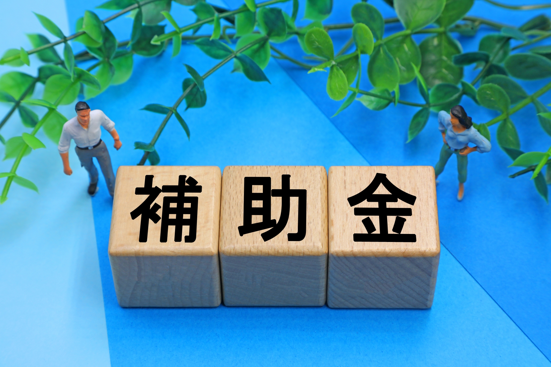 補助金