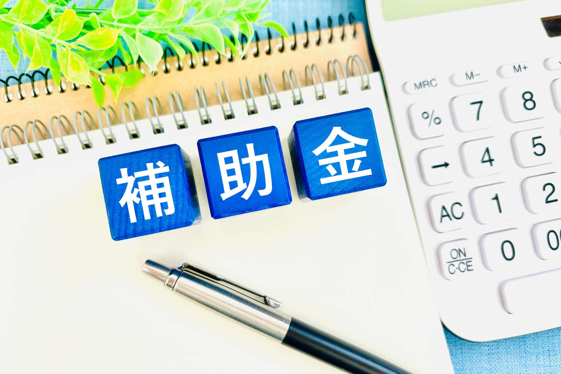 補助金制度を活用した費用