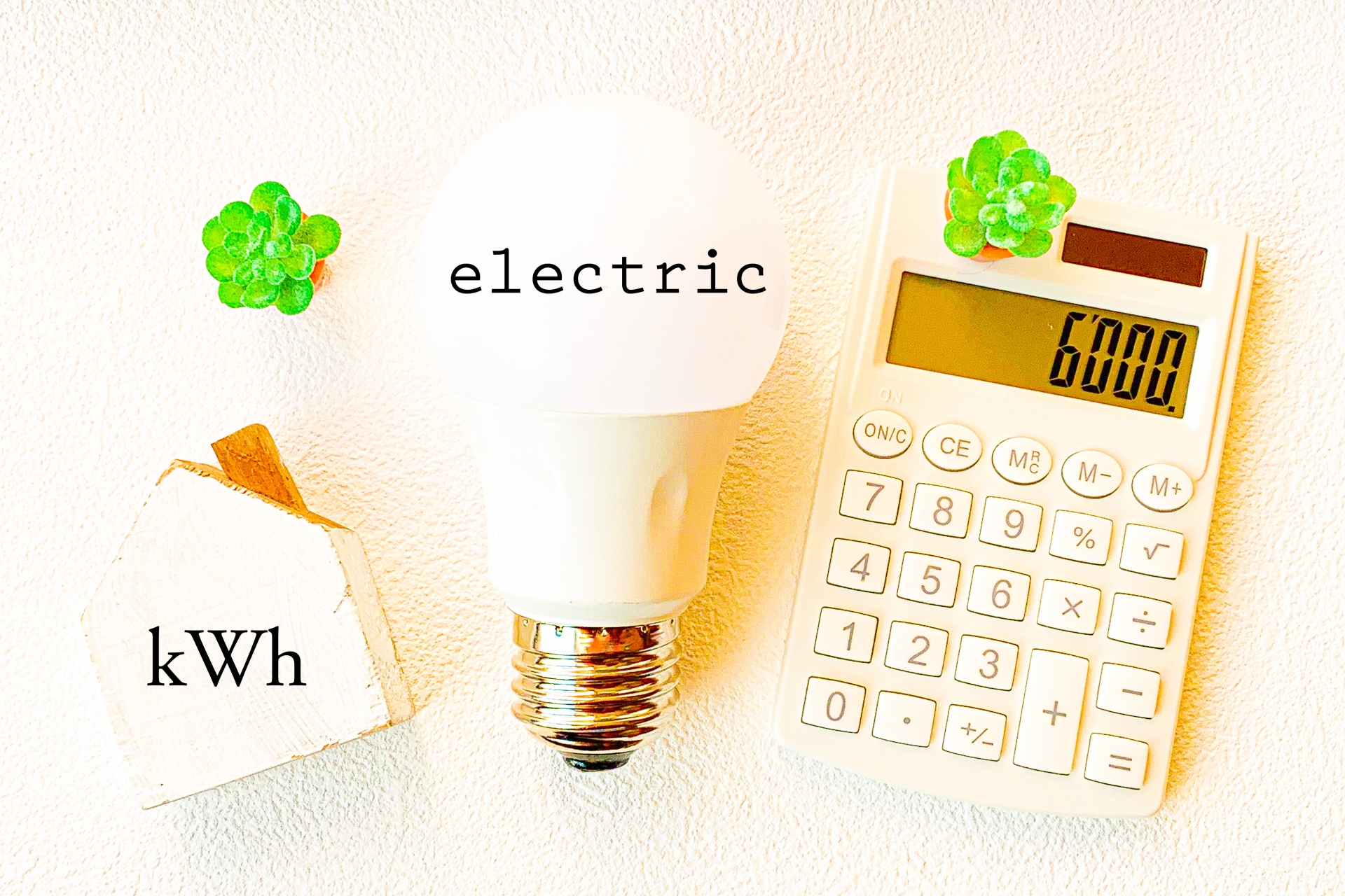 電球と電卓
