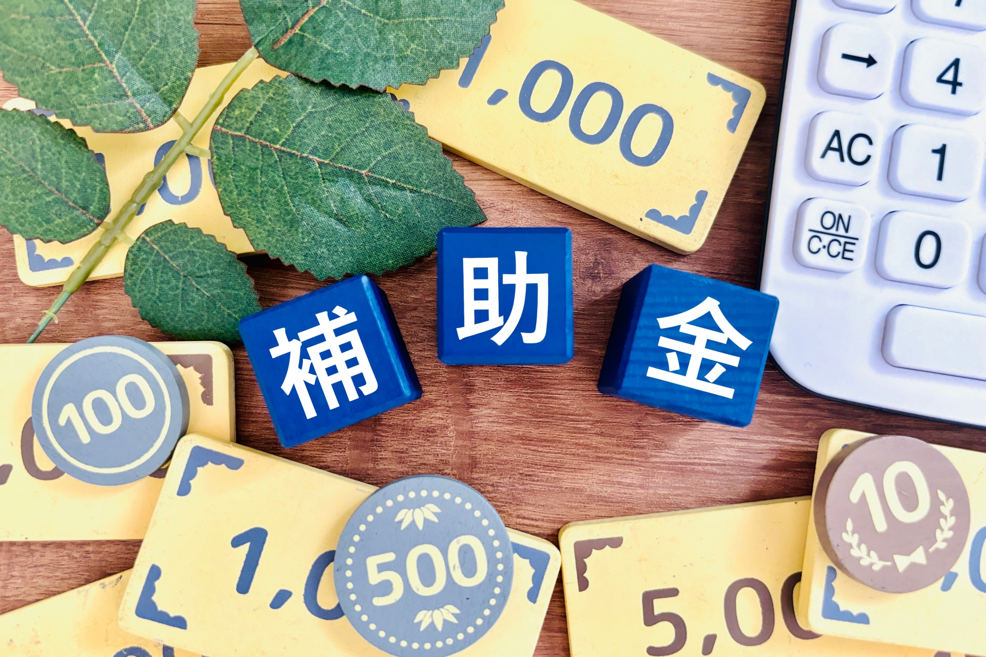 補助金を活用する